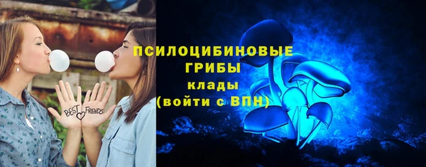 круглые Алзамай