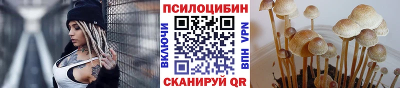 Галлюциногенные грибы GOLDEN TEACHER Апшеронск